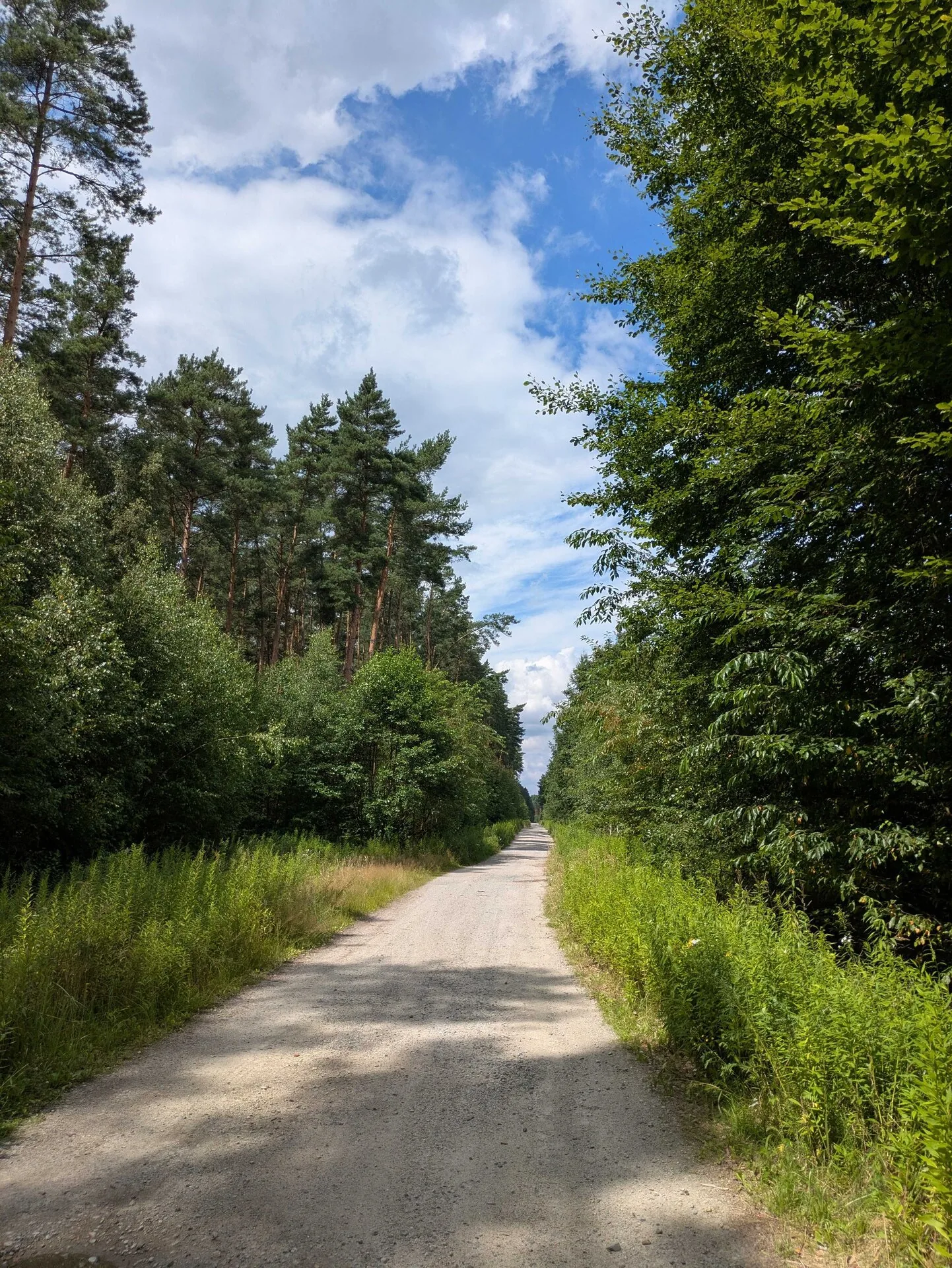 Gravel