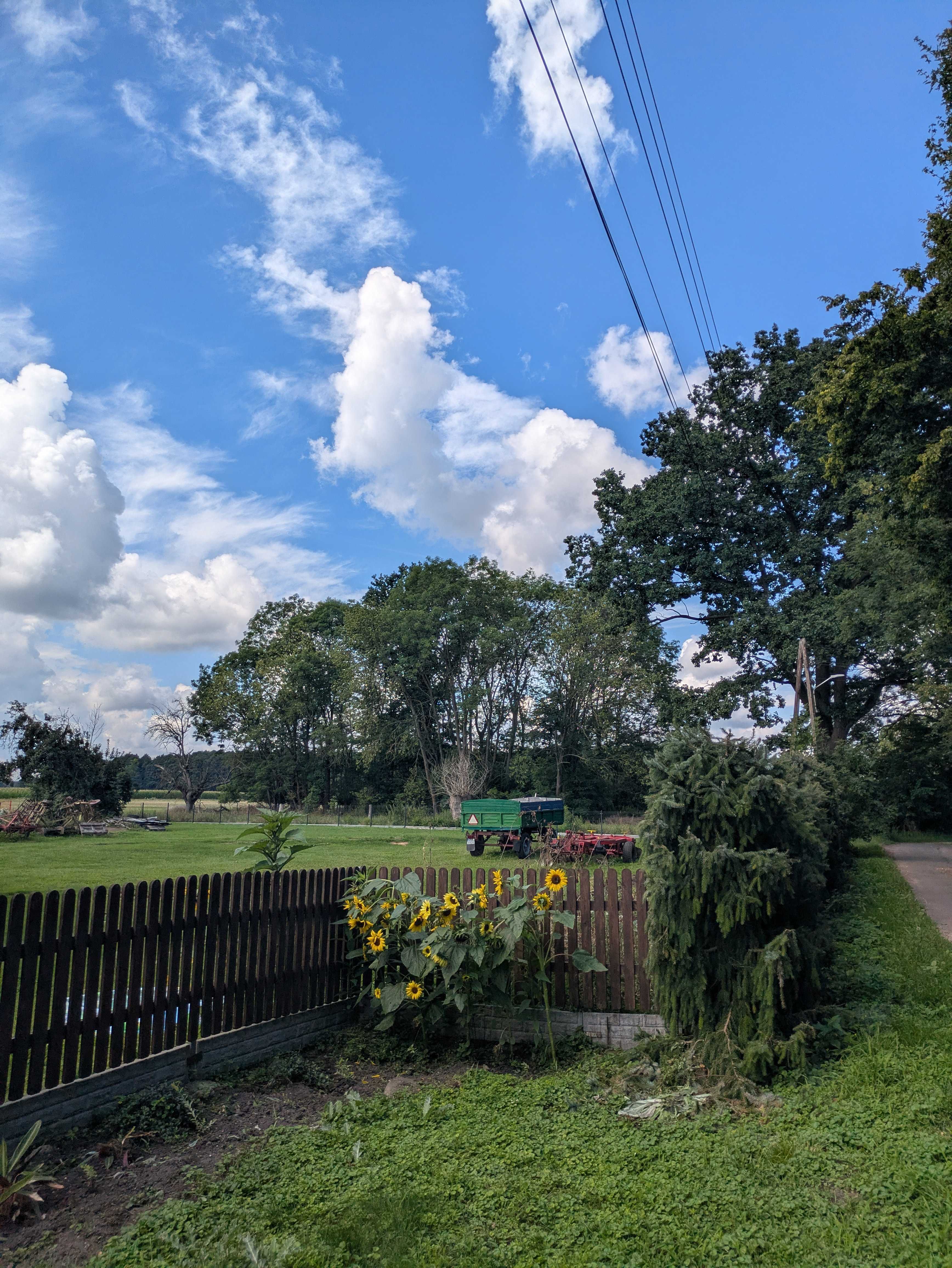 Countryside