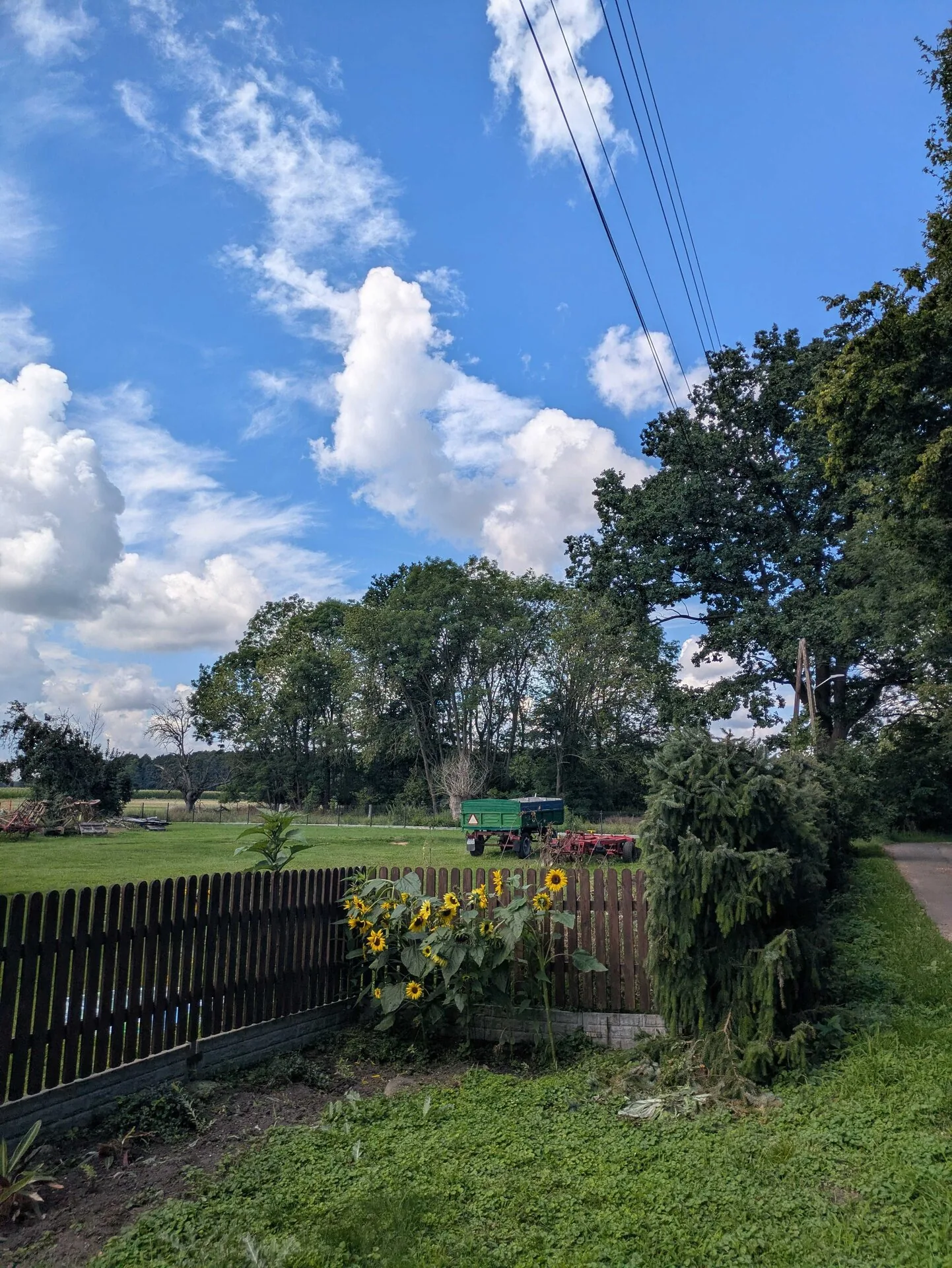 Countryside