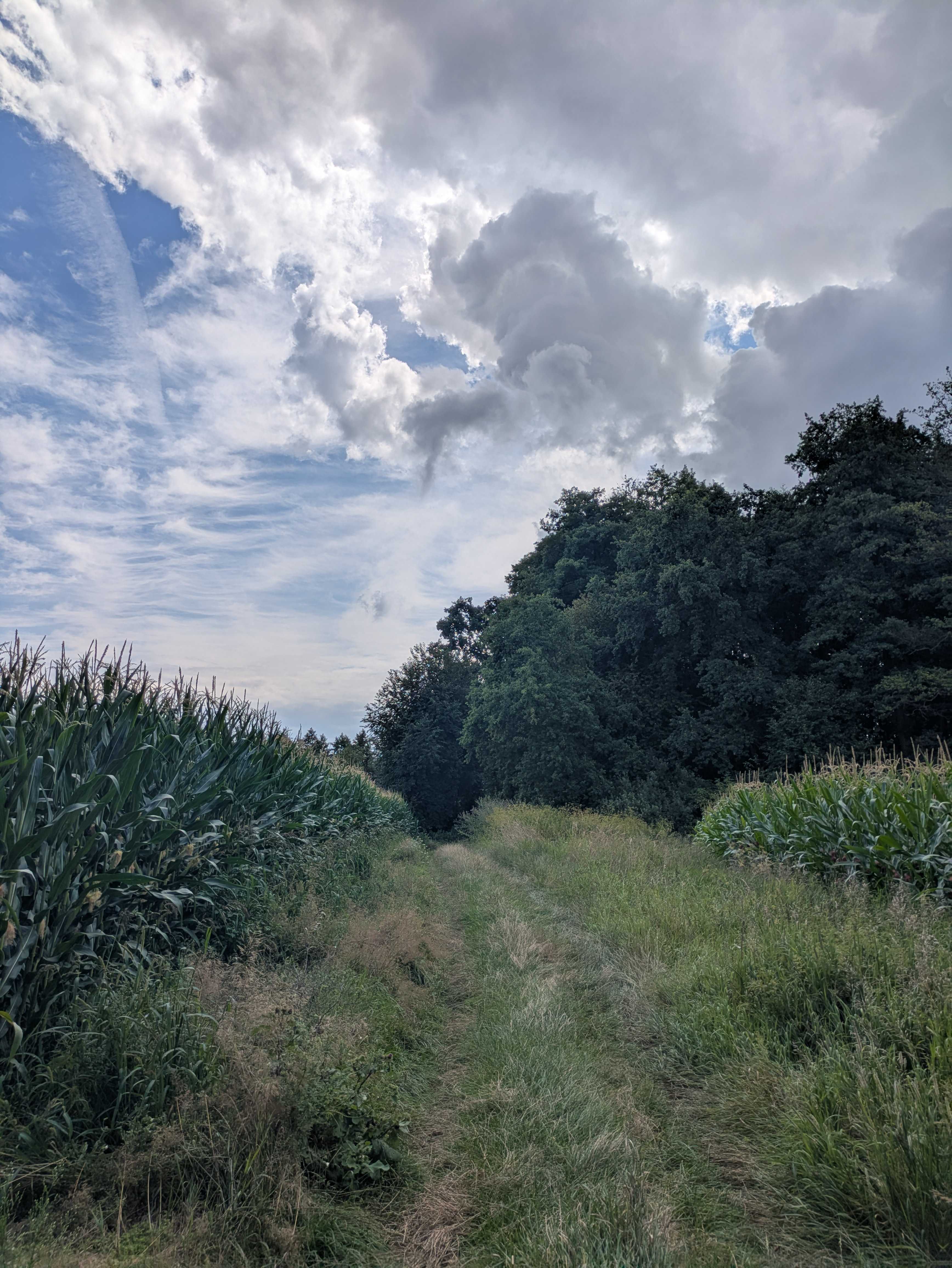 Countryside