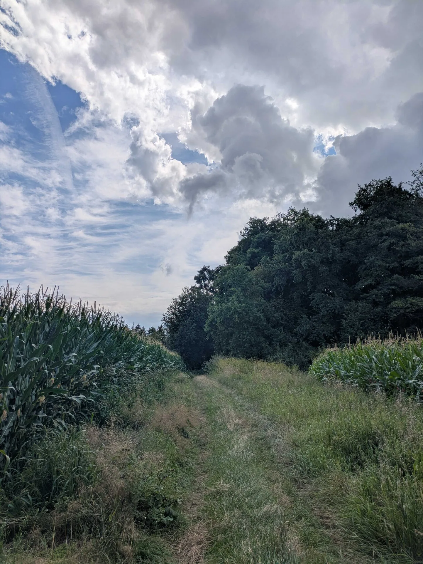 Countryside