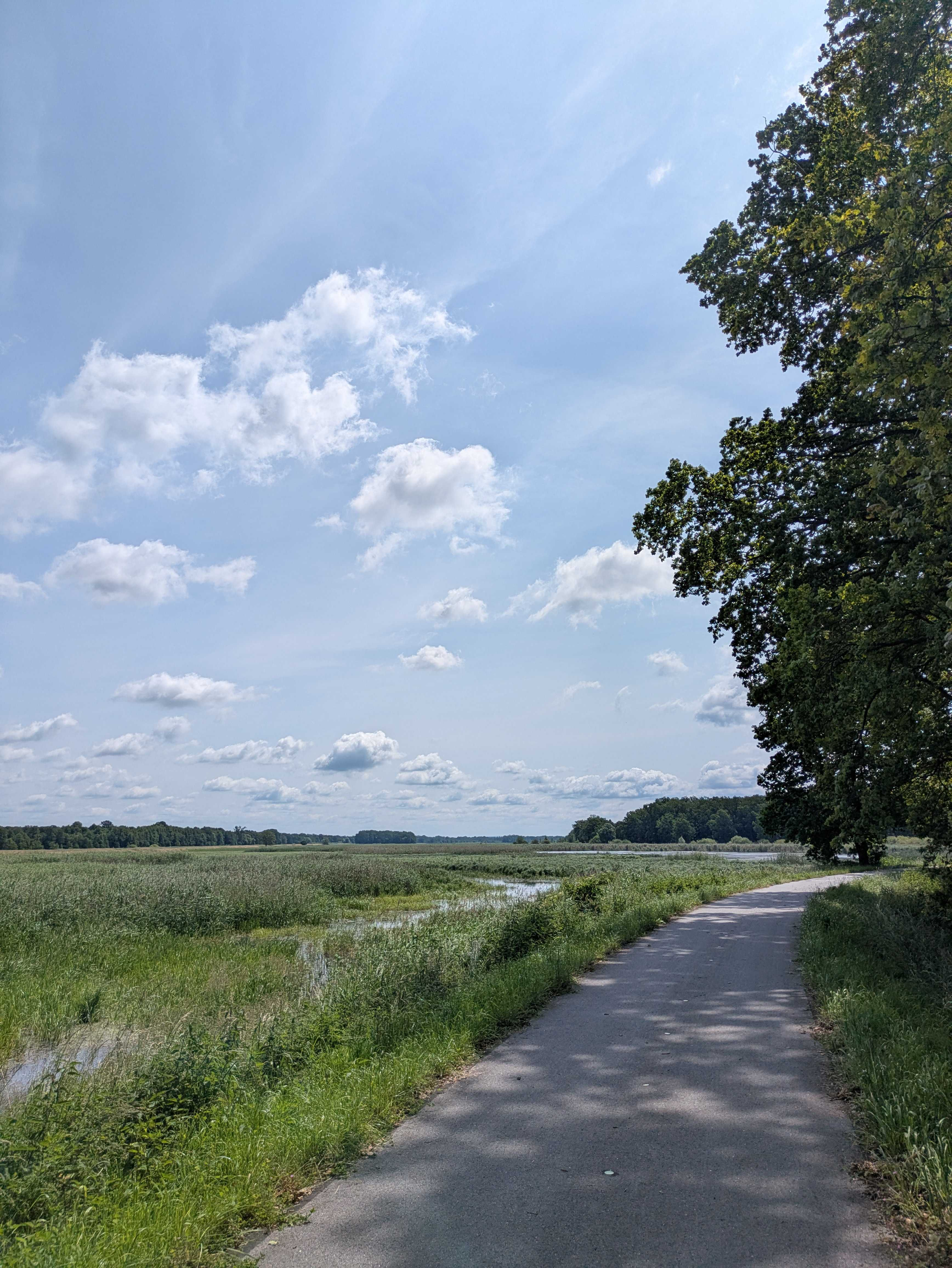 Nature towards Milicz