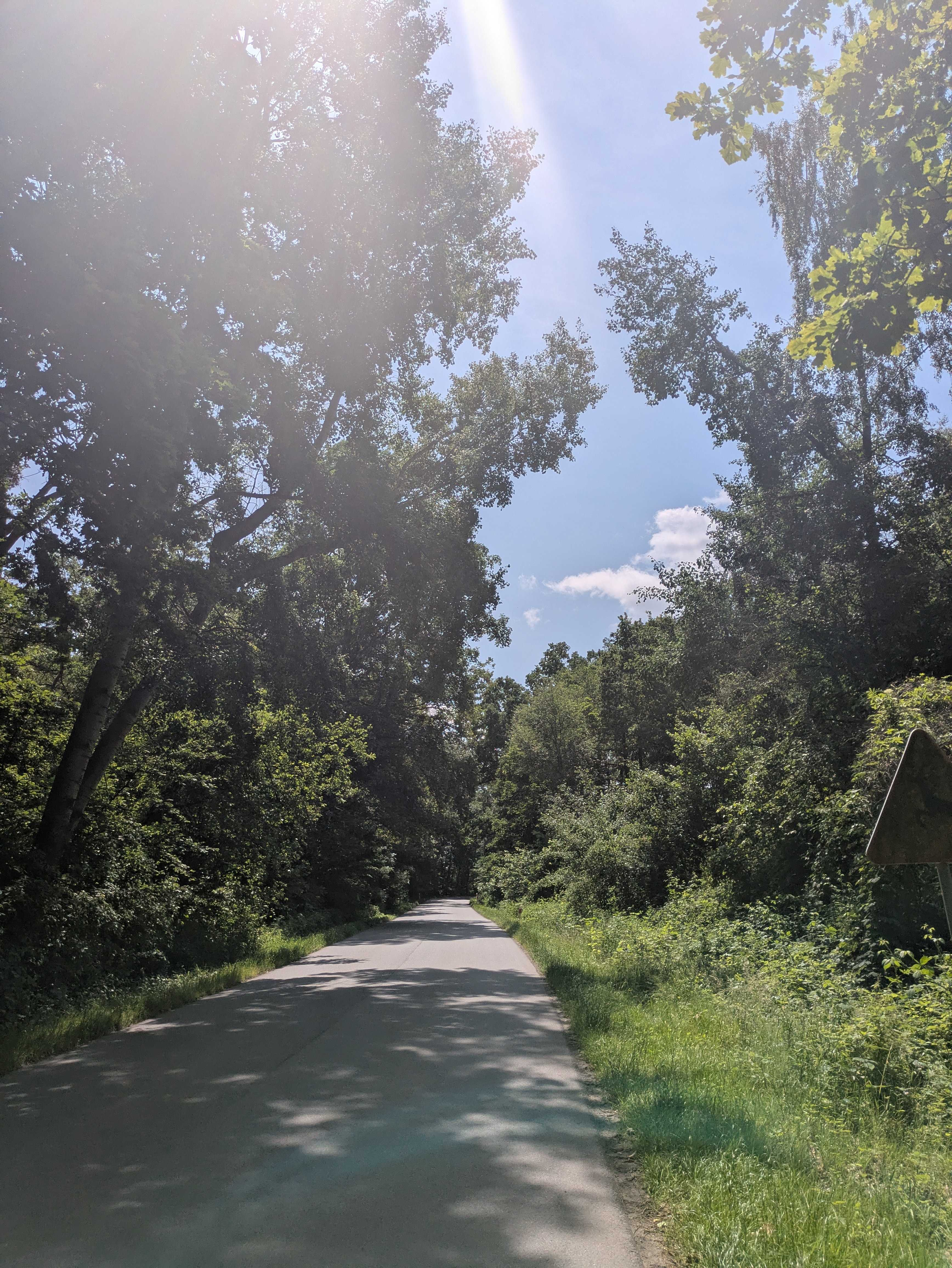 Ascent towards Oborniki Śląskie